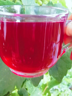 عکسی از دستور ☕چای هسته آلبالو ☕