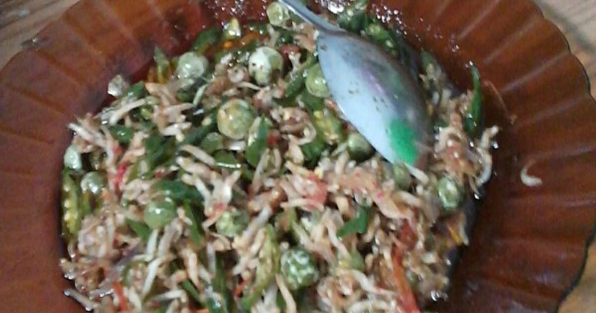 Karipikk Rimbang Resep rimbang teri nasi rumahan enak dan mudah - Cookpad