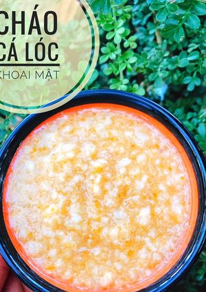 Hình của món Ăn dặm - Cháo cá lóc khoai lang mật.