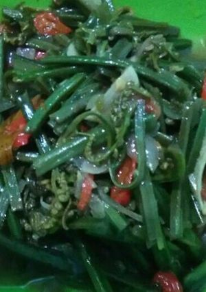 Foto resep Tumis Pakis