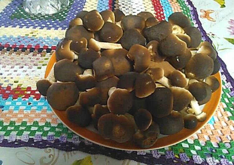 Pioppino con la semola