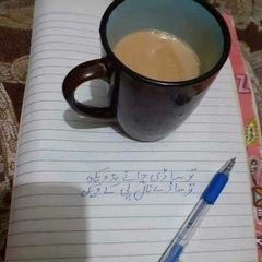 A picture of Chai.