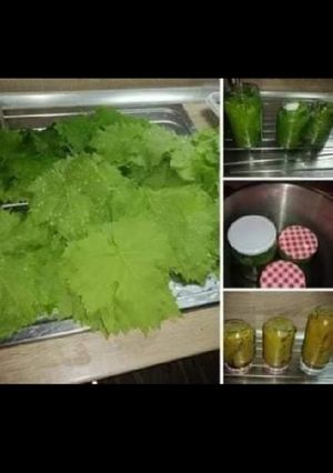 Φωτογραφία της συνταγής Αμπελόφυλλα για όλο το χειμώνα!!
