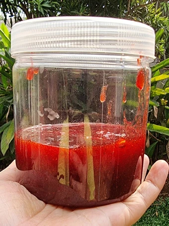 Langkah Mudah untuk Membuat Resep Selai strawberry yang  Bikin Ketagihan Anti Ribet, Bikin Ngiler