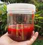 Langkah Mudah untuk Membikin Resep Selai strawberry yang  Bikin Ketagihan Anti Ribet, Sempurna