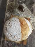 One Day Sourdough Loaf with Cold Starter