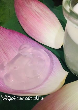 Hình của món Thạch rau câu dừa.