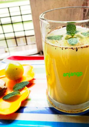 आवळापेय (amla juice recipe in marathi) रेसिपी चे मुख्य फोटो 