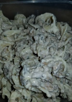 A picture of Turkey strognoff.