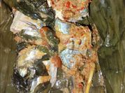 Gambar pepes ikan laut kemangi