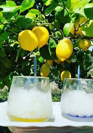 A picture of Lemon Granita.
