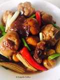 Hongsao daging ayam & chestnuts