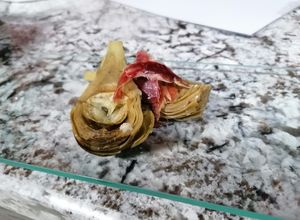 Una foto de Alcachofas aliñás