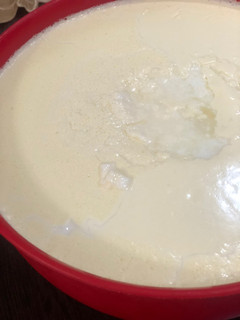 عکسی از دستور اینم ماست خونگی من🐄🐄