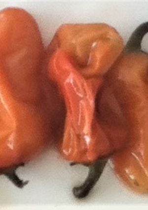 Una foto de Chiles cocidos en vainilla y piloncillo a lo geras