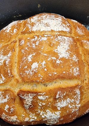 Une photo de Pain cocotte thermomix