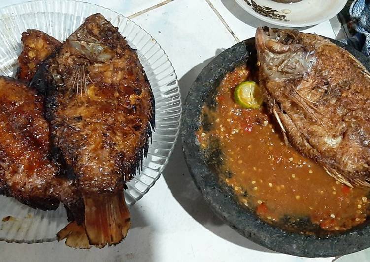 Cara buat Ikan nila bakar madu yang nikmat Untuk Jualan