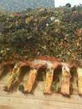 Herb crusted rack of lamb