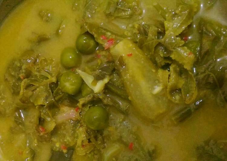 Cara Gampang Membuat Gulai pakis (gule on paku) dalam bahasa Aceh Anti Gagal