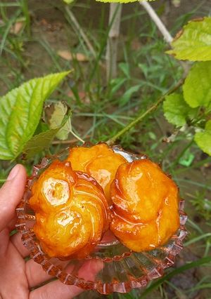 عکسی از دستور بامیه ترکی (رمضان کریم) 🌠⭐🌙🌿🌸