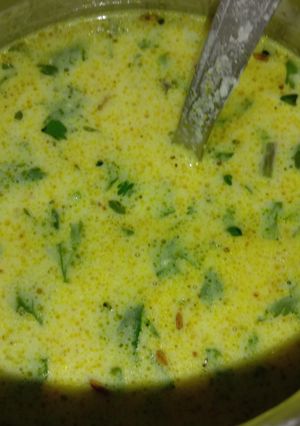 A picture of Curd sabzi.