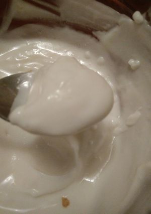 Una foto de Mayonesa Sin Gluten