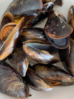 Una foto de Mejillones al vapor con un toque picante
