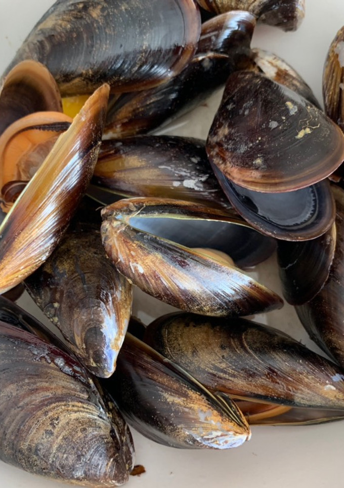 Una foto de Mejillones al vapor con un toque picante