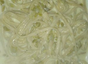 Una foto de Fideos al requesón