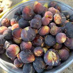 A picture of Fig jam.