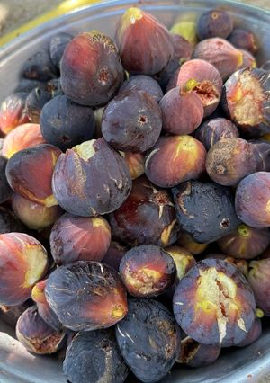 A picture of Fig jam.
