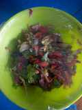 Garden salad
