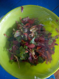 A picture of Garden salad.