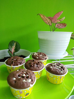 Foto resep Chocolate Muffin