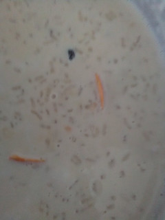 Una foto de Arroz con leche