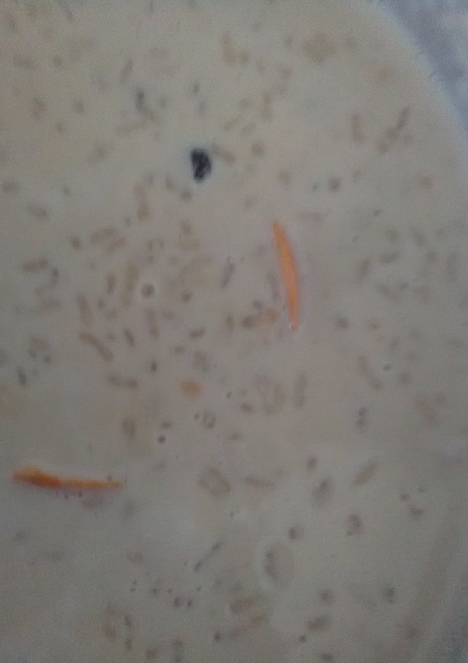 Una foto de Arroz con leche