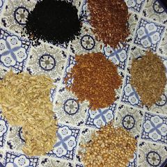A picture of Panj Pooran Masala.
