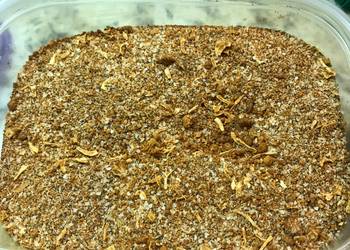 Best Recipe Boston Butt Dry Rub Delicious Steady