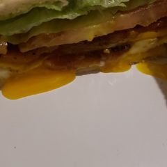 A picture of Blt plus sandwich.