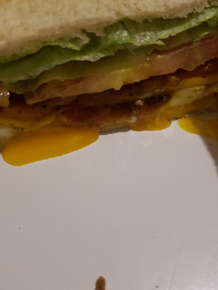 A picture of Blt plus sandwich.