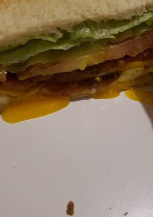 A picture of Blt plus sandwich.