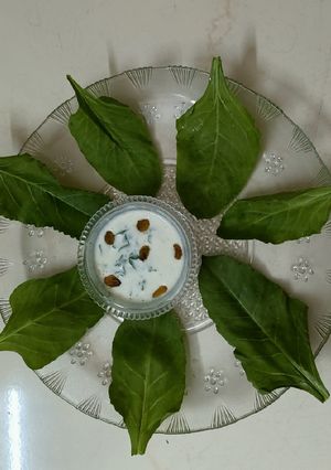 પાલક દહીં નું રાયતુ(Palak Raita Recipe in Gujarati) રેસીપી મુખ્ય ફોટો