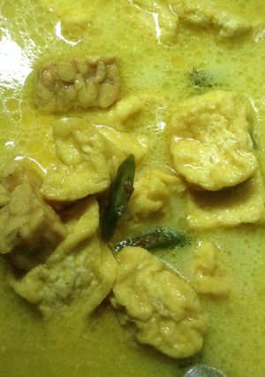 Foto resep Lodeh tahu tempe
