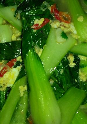Foto resep Tumis Sawi Kuah Telor Spesial