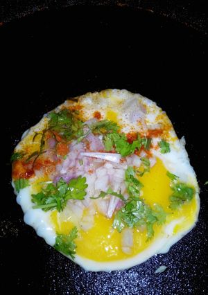 A picture of One-Side Omlette.