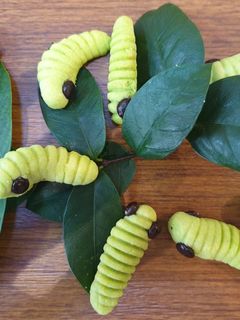 Foto resep Kue ulat bulu