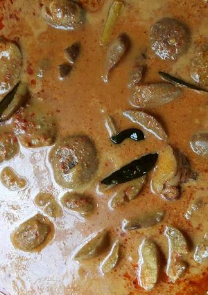 Foto resep Kalio jengkol