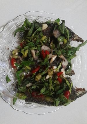 Foto resep Ikan papuyu goreng siram sambal mantah