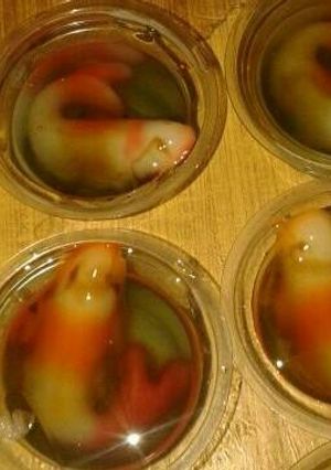 Foto resep Puding ikan koi