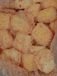 Foto resep Tahu Krispi Super simple
